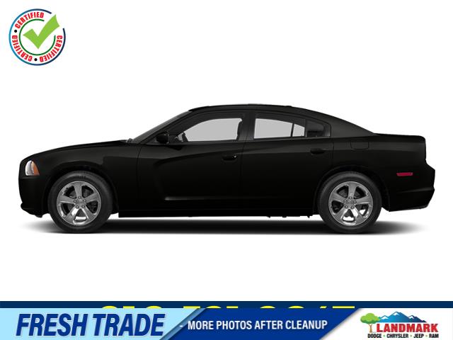 2014 Dodge Charger R/T