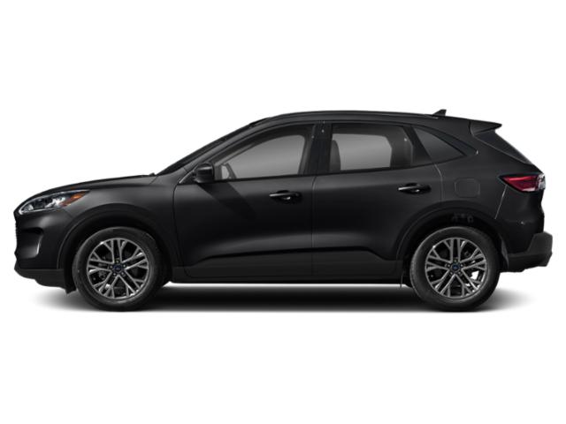 Used 2020 Ford Escape SEL Crossovers