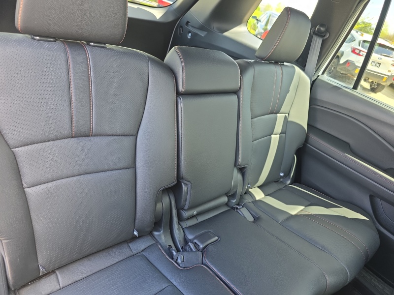 2024 Honda Passport