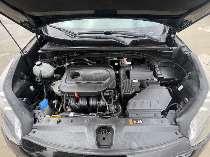 2019 Kia Sportage