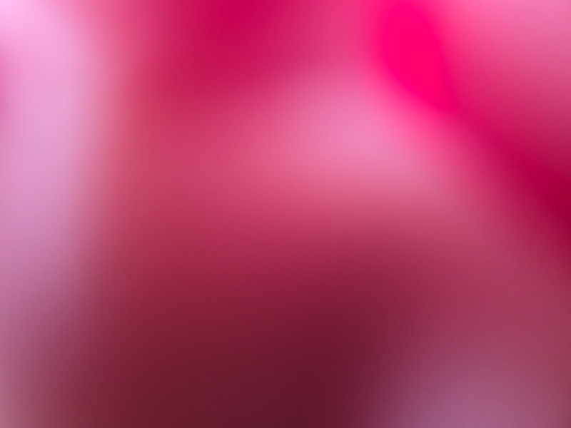 2026 Kia Sportage Hybrid