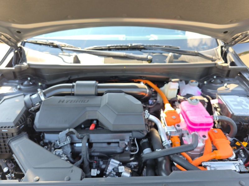 2026 Kia Sportage Hybrid