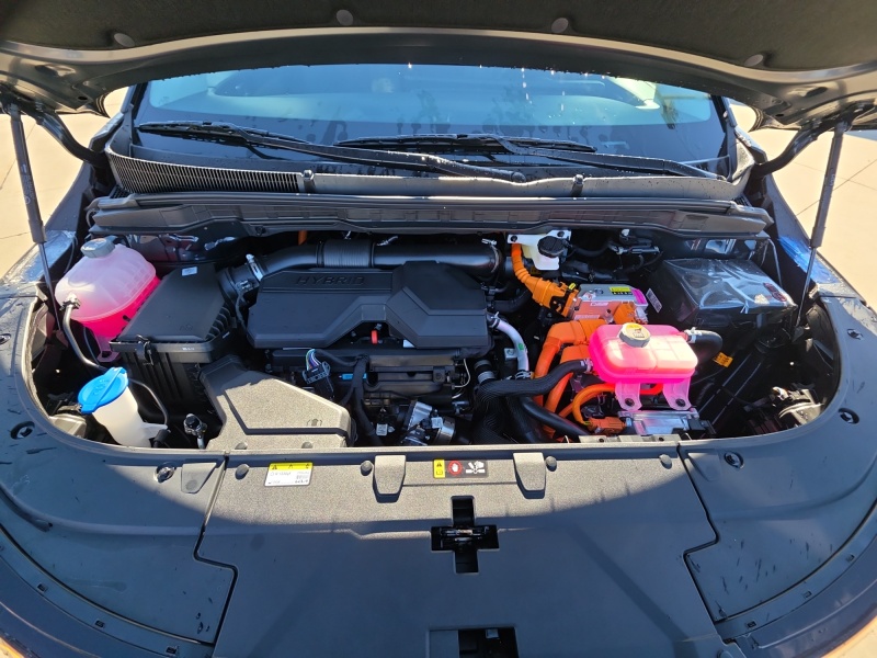 2026 Kia Carnival Hybrid