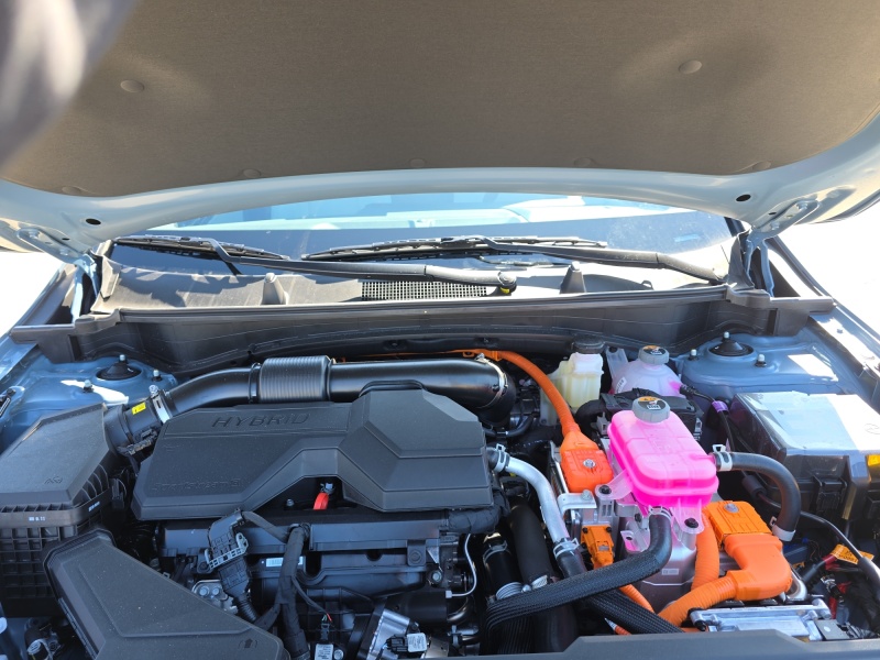 2026 Kia Sportage Hybrid