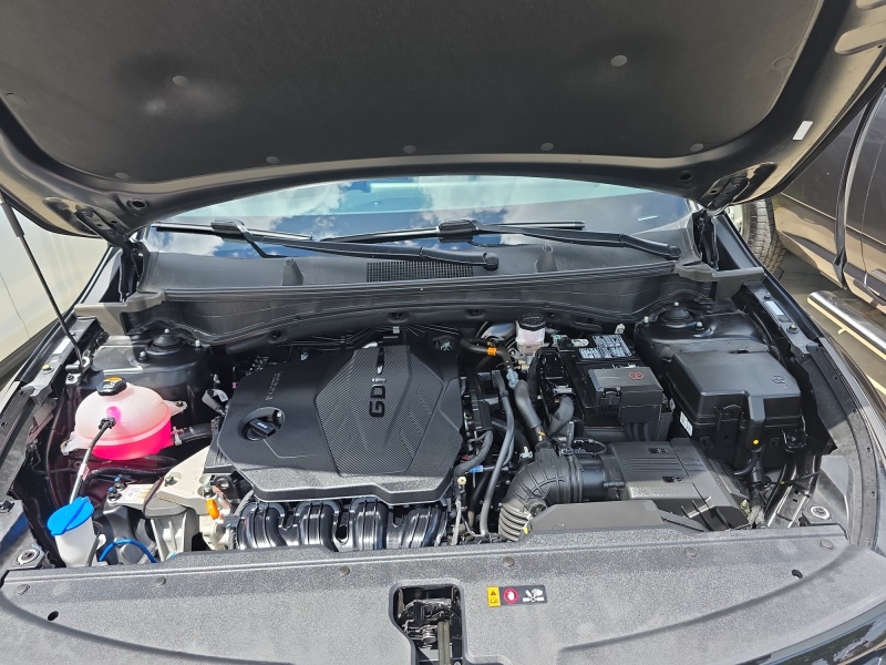2024 Kia Sportage
