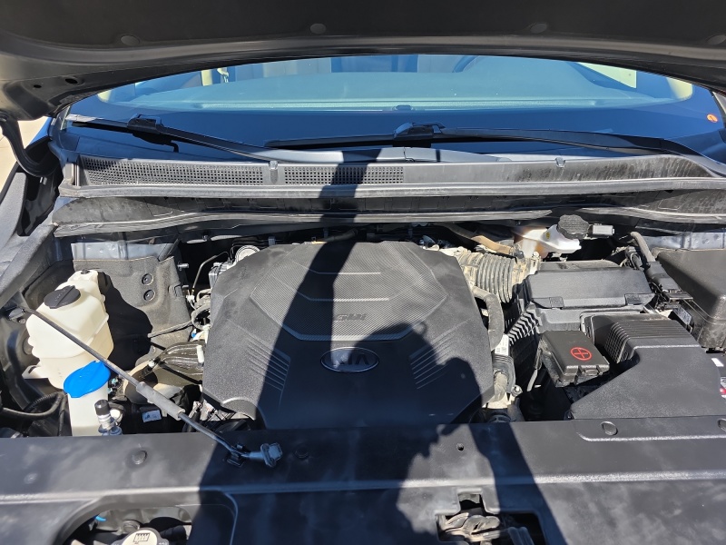 2020 Kia Sedona