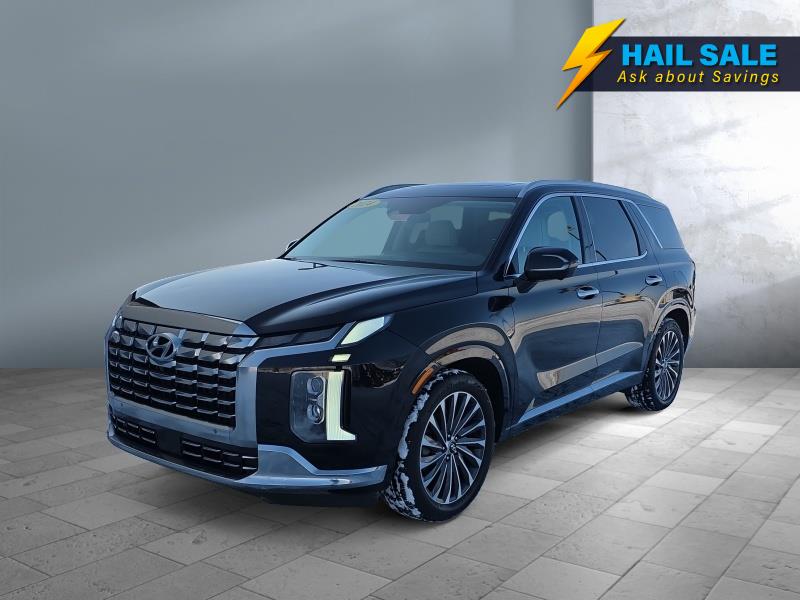 Used 2024 Hyundai Palisade Calligraphy SUVs