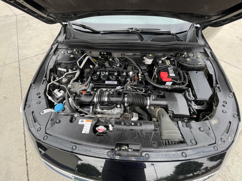 2019 Honda Accord Sedan