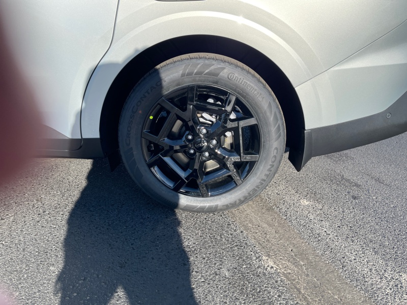 2026 Kia Carnival Hybrid