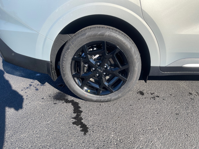 2026 Kia Carnival Hybrid