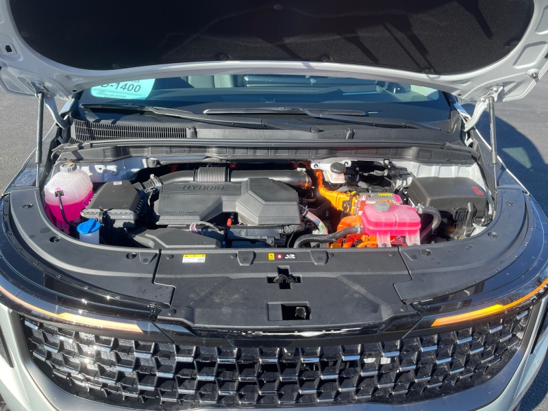 2026 Kia Carnival Hybrid