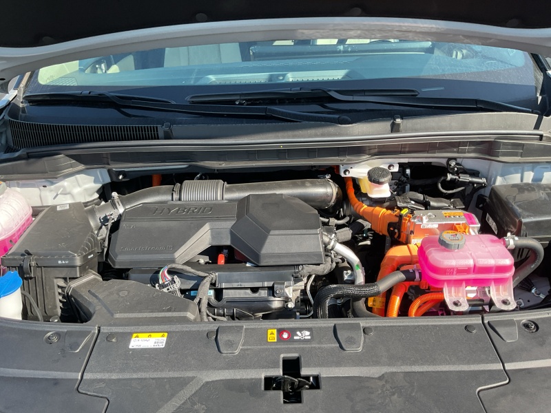2026 Kia Carnival Hybrid