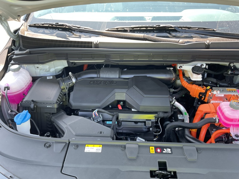 2026 Kia Carnival Hybrid