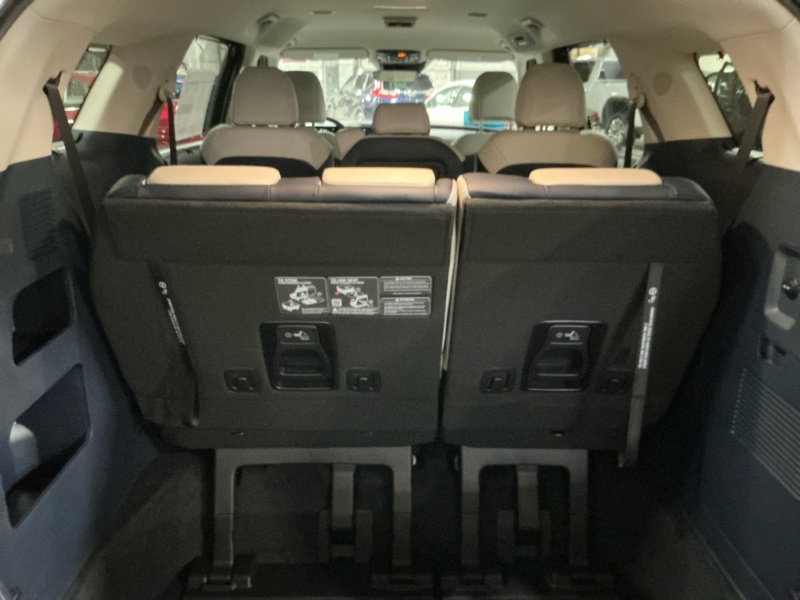 2026 Kia Carnival Hybrid