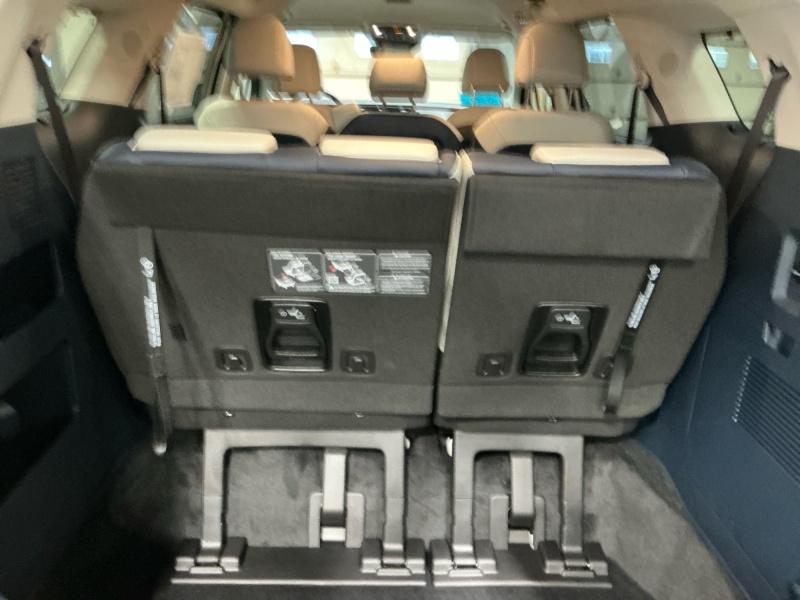 2026 Kia Carnival Hybrid