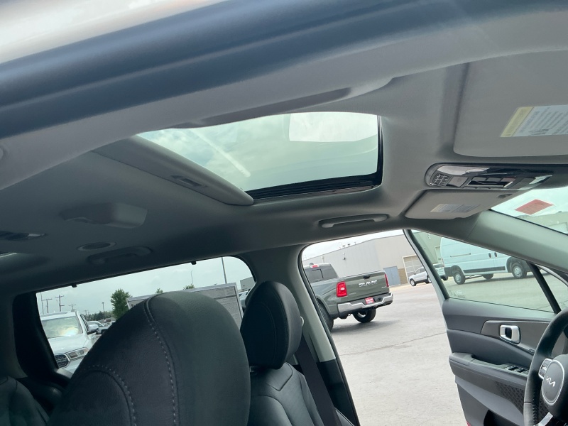 2026 Kia Carnival