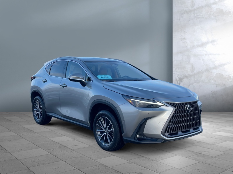 2024 Lexus NX