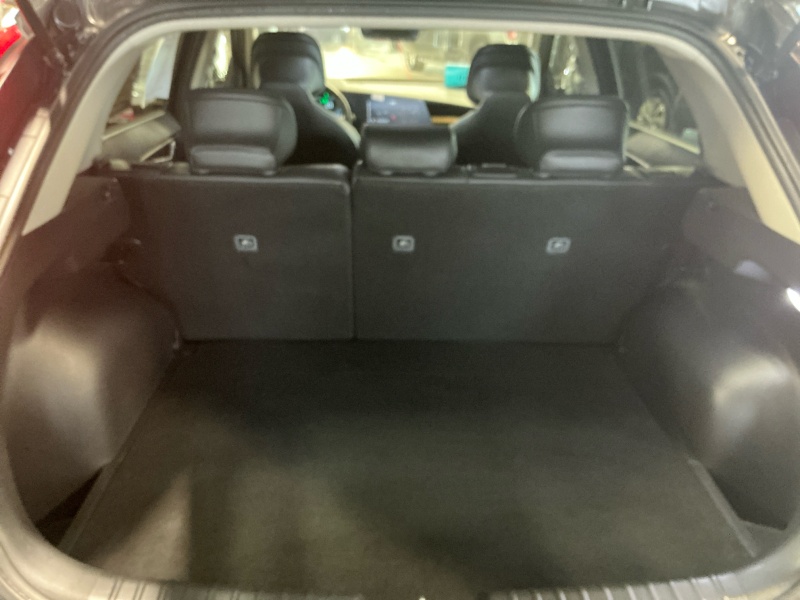 2023 Kia Niro