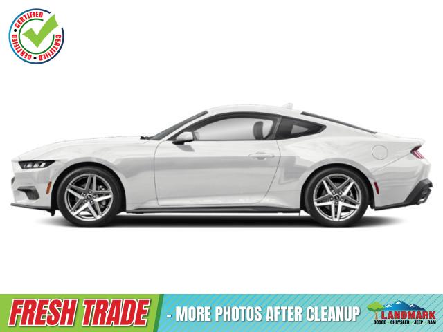 Used 2024 Ford Mustang EcoBoost Car