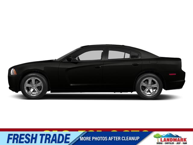Used 2014 Dodge Charger RT Max Cars