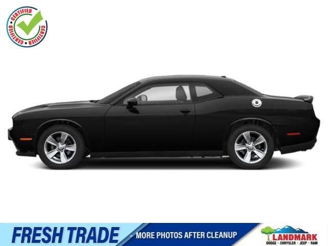 Used 2019 Dodge Challenger SXT Cars