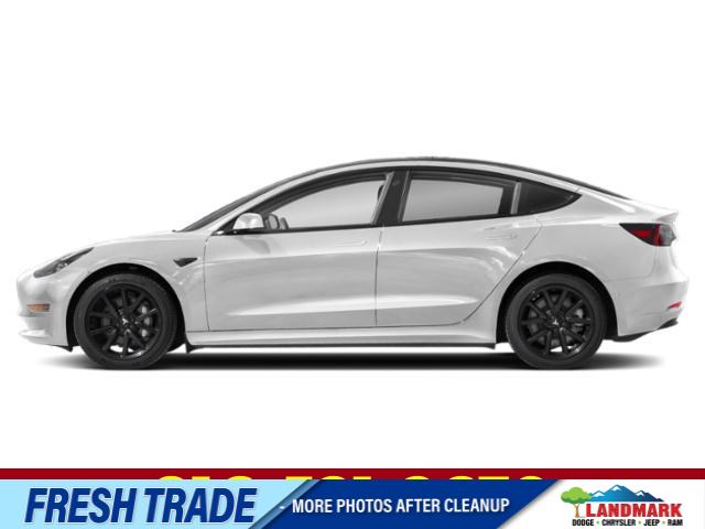 Used 2021 Tesla Model 3 Standard Range Plus Cars