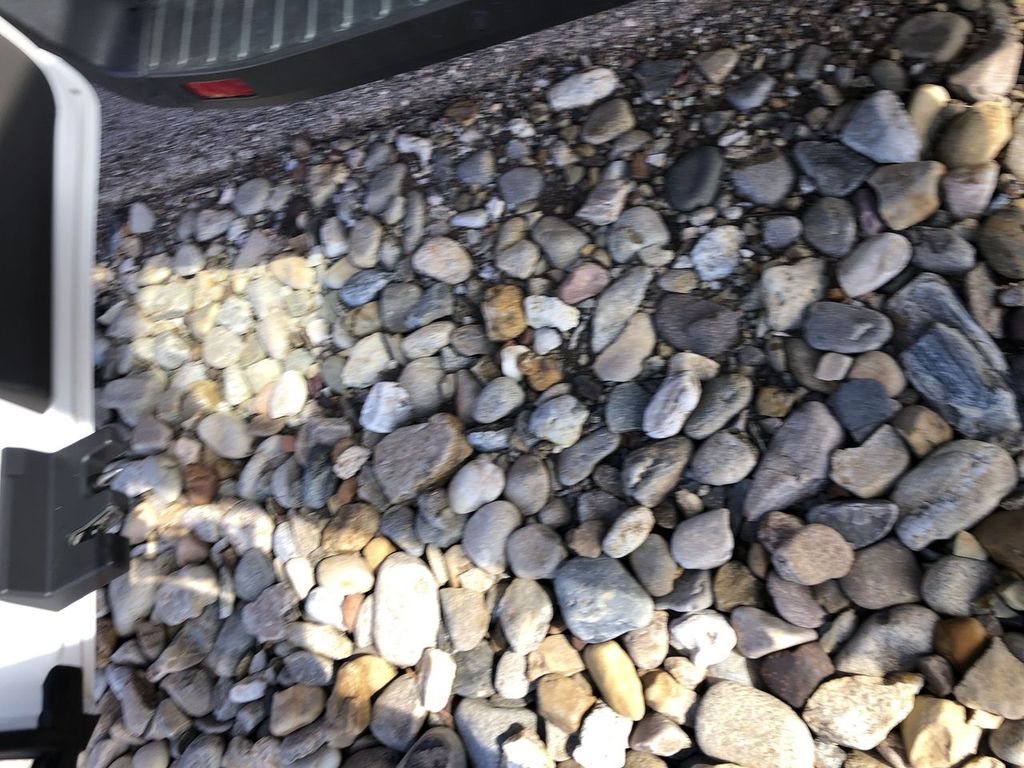 2023 Ford Transit Wagon