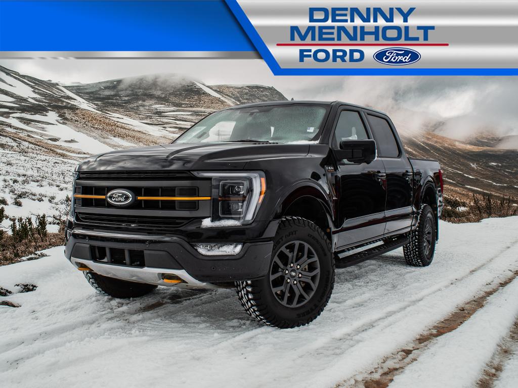 Used 2023 Ford F-150 Tremor Trucks