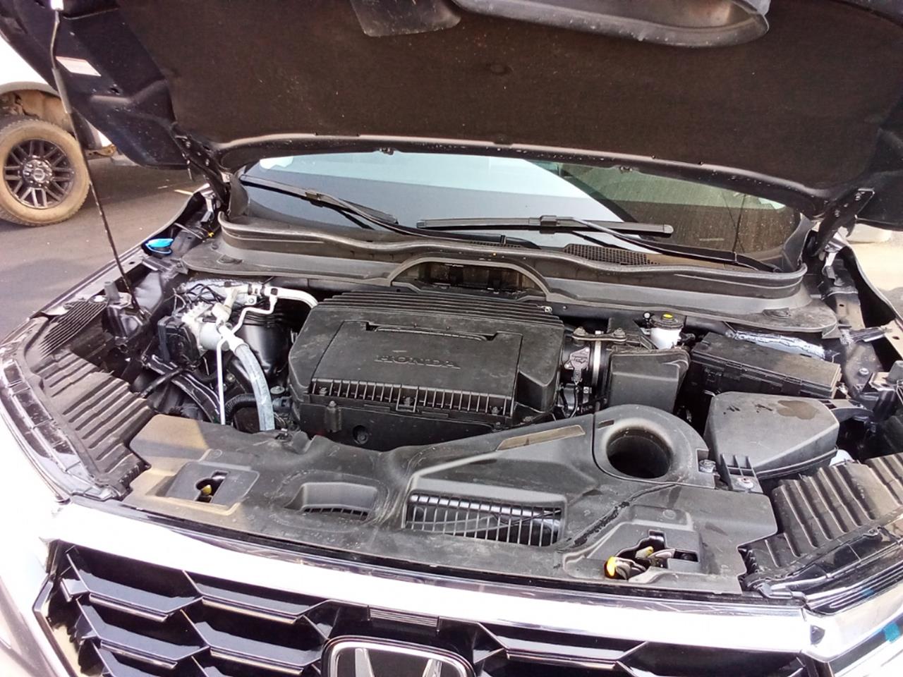 2025 Honda Pilot
