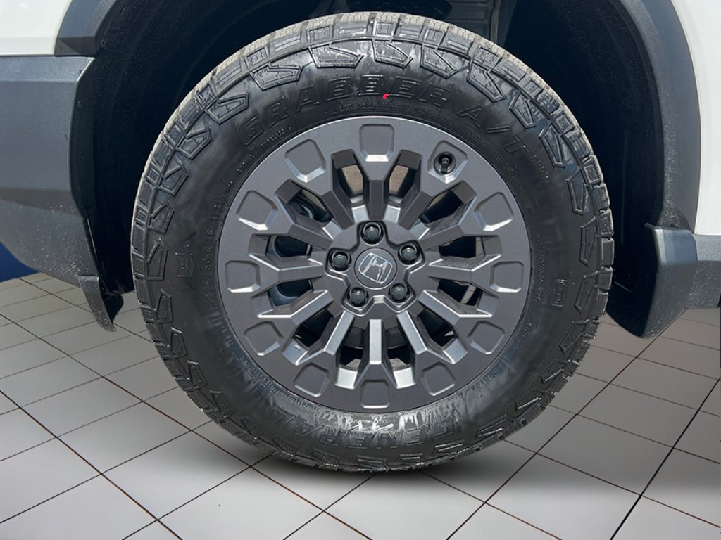 2026 Honda Passport