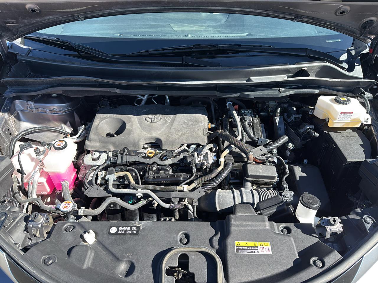 2022 Toyota Sienna