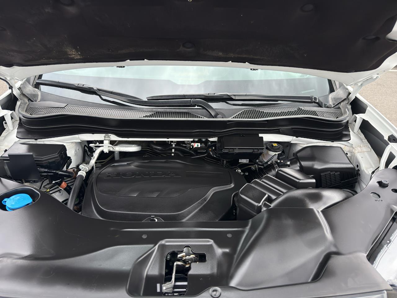 2023 Honda Passport