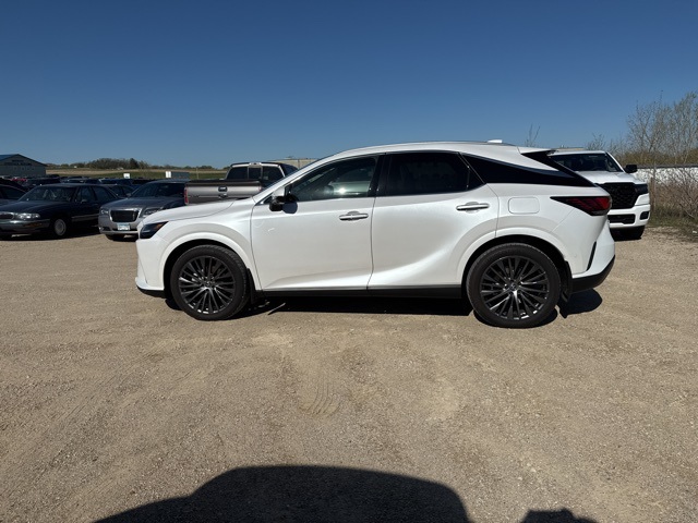 2024 Lexus RX