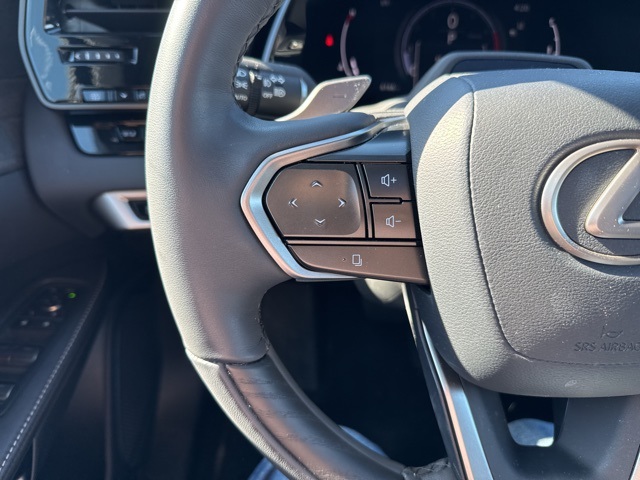 2024 Lexus RX