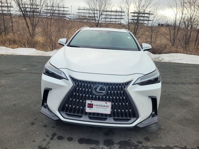 2024 Lexus NX