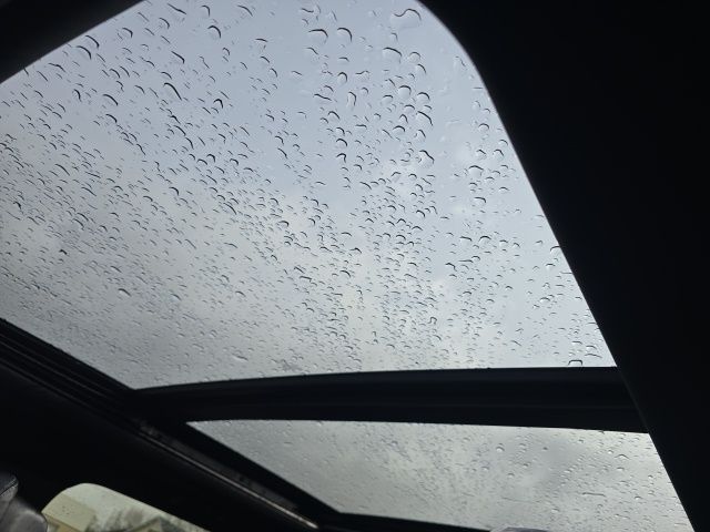 2026 Ford Expedition Max