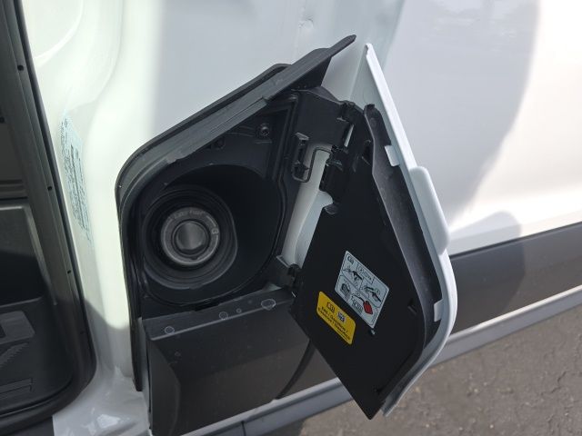 2025 Ford Transit-250