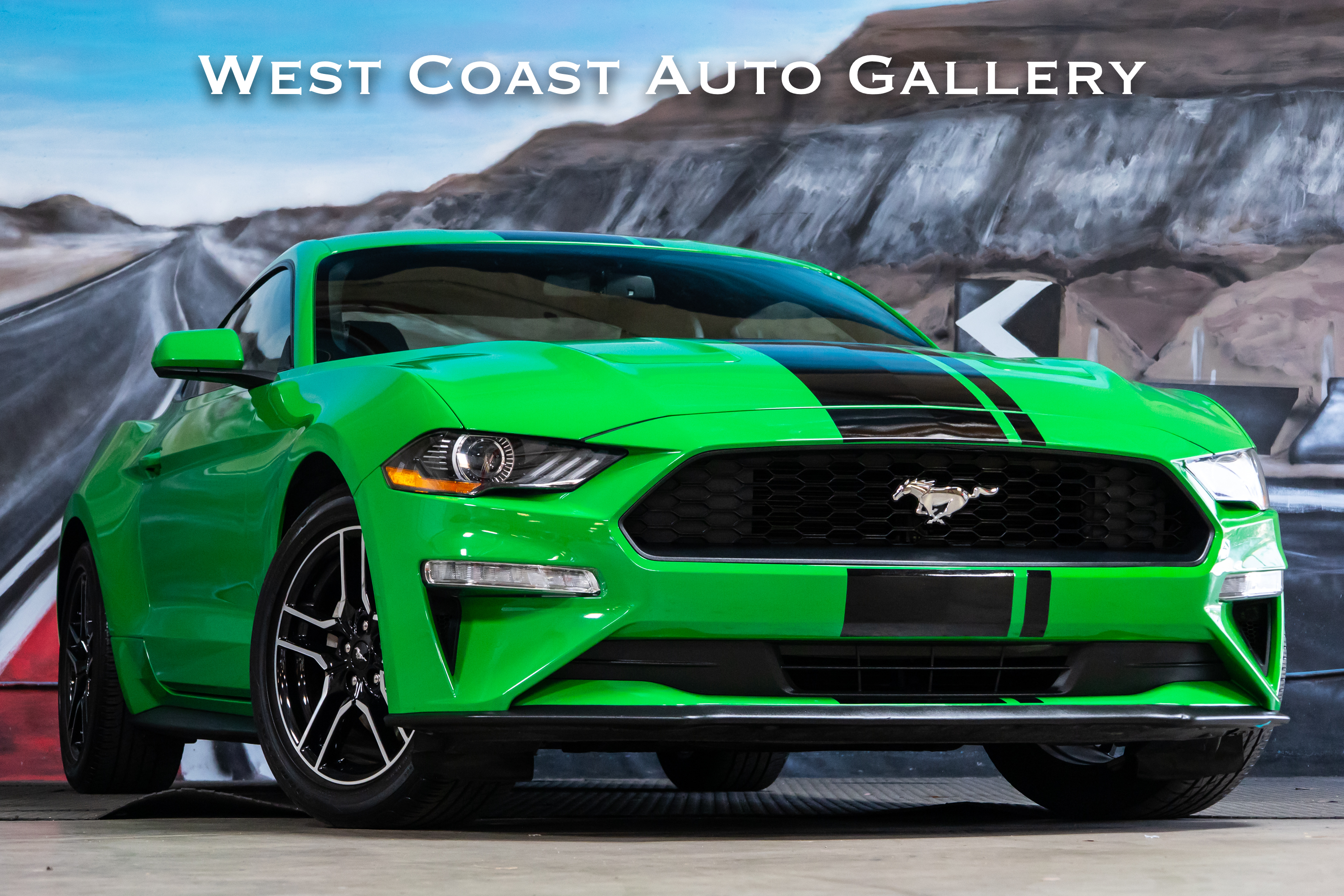  2019 Ford Mustang EcoBoost Car